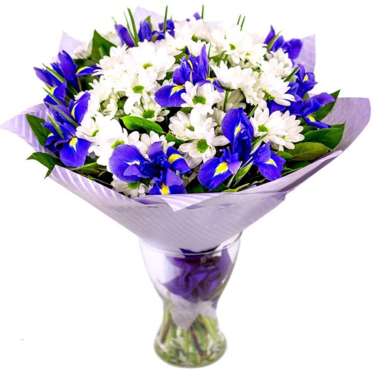 Океан от 6 240 руб.